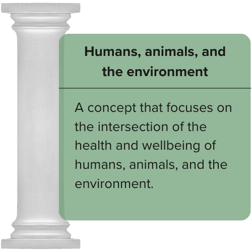 Humans animals and environment pillar