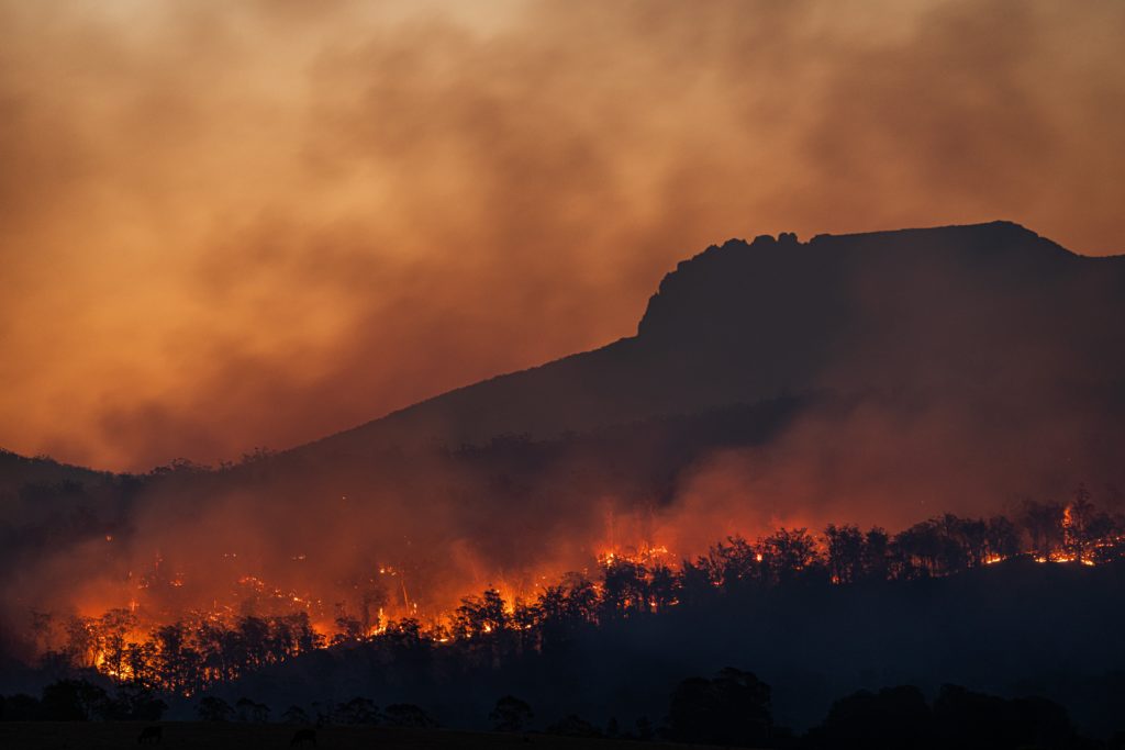 matt-palmer wildfire image