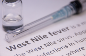 Image of West Nile Virus vaccine