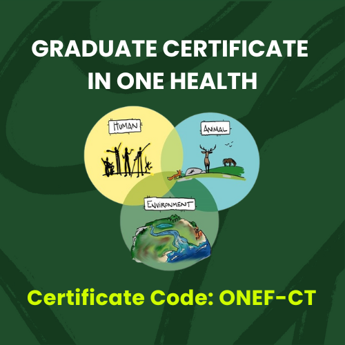 Graduate Certificate thumbnail image